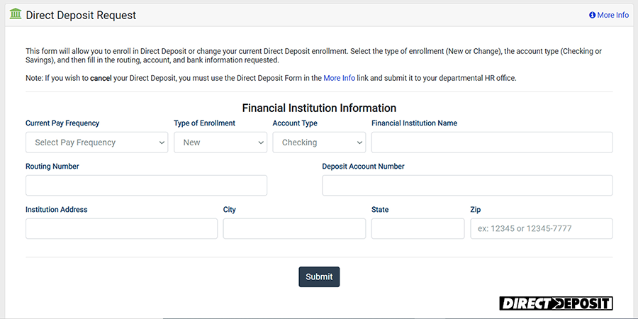 Direct Deposit submission screen shot